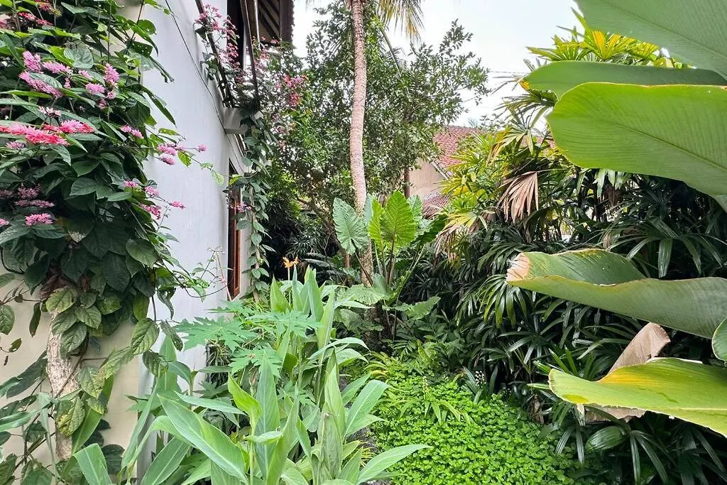 Ubud One-Bedroom Private Pool Villa Giri  Ubud (Bali)